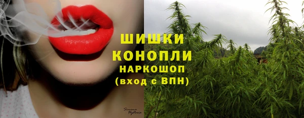 амф Алзамай