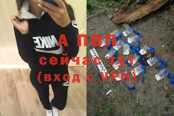 амф Алексин
