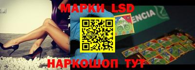 тгк Кингисепп