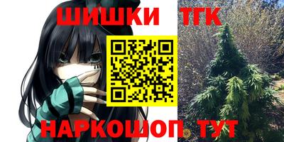 тгк Кингисепп