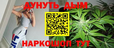 тгк Кингисепп