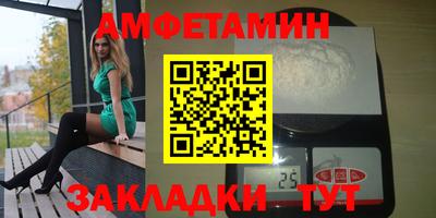 тгк Кингисепп