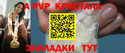 тгк Кингисепп