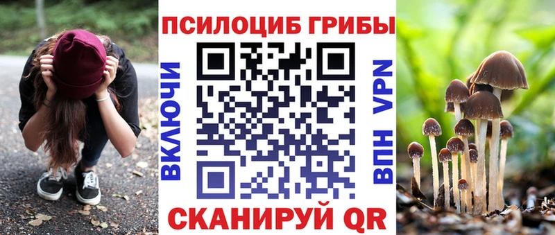 Псилоцибиновые грибы Magic Shrooms  Кинель 