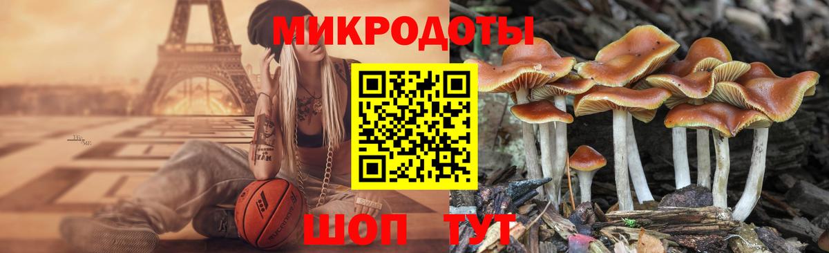 Галлюциногенные грибы мицелий  Вход с VPN  Кинель 